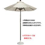マーケットアンブレラ SY-2000 テラモト