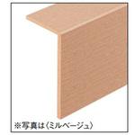 リモデル框6TⅡ 大建工業