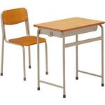 学校用デスク (JIS適合タイプ) ナイキ