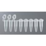 PCR用キャップ付き8連チューブ 0.2mL 125個入 BIO-BIK(イナ・オプティカ)