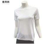 ベーシックTシャツ レディース 半袖 96921シリーズ ワンポイント