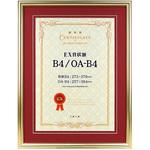 EX賞状額 B4兼用判 万丈