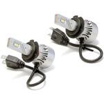 LED Conversion Kit Seabass Link