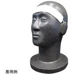 SWEAT Free 額用汗パッド 1箱 50枚/袋×40袋 SWEAT Freeシリーズ NTC