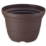 5号 鉢 のおすすめ人気ランキング モノタロウ