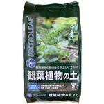 観葉植物の土 プロトリーフ