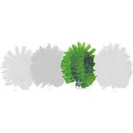 ニューカラータワシ カウゼル