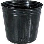 育苗用ポリポット ノーブランド