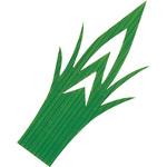 バラン 松1号(B色) 柏原商会