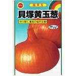 パンプキンイエローの玉ねぎ Amazon.co.jp: タマネギ 種子 OL黄 玉ねぎ (7ml) : DIY・工具・ガーデン
