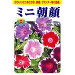 朝顔 種 通販モノタロウ