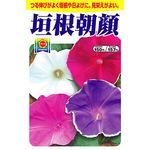 朝顔 種 通販モノタロウ