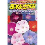 127708 スーパーカラフル西洋あさがおプレミアム 1袋(1.2mL