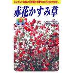 327320 赤花カスミ草 1袋(0.7mL) アタリヤ農園 【通販モノタロウ】