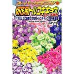 スーパーカラフル切花用トルコキキョウローズ咲き アタリヤ農園 植物 草花の種 通年 通販モノタロウ 3297