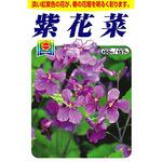 228849 【タネ】紫花菜 1袋(0.8mL) アタリヤ農園 【通販モノタロウ】