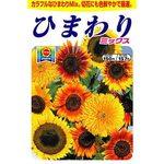 Amazon.co.jp: JMBricklayer 花ひまわり ブロックセット ライト