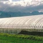 農ビフィルム ノーブランド