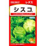 【タネ】レタス シスコ タキイ種苗