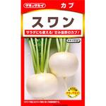 【タネ】カブ スワン タキイ種苗