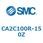 CA Series(CA2C100R)