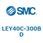 L Series(LEY40C-300BD)