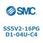 S Series(SS5V2-16PGD1)