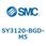 S Series(SY3120-BGD)