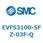 EVFS3