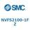 NVFS2