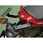 GIVI 359FZモノラクステ FZ-1'06