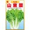 【タネ】半結球 山東菜 つけな・はくさい