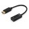 DisplayPort to HDMI 変換アダプタ
