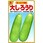 【タネ】漬け瓜の代表種 大しろうり 野菜