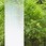 【オーダー】ファサラ グラデーション SH2FGTG 剣(ツルギ) 1270mm 3M(スリーエム)