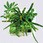 観葉植物 FRAME 給水ボトル付