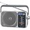 リビングラジオ FM/AM 2バンドレシーバー RF-2450