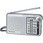 ポケットラジオ FM/AM 2バンドレシーバー RF-P155
