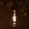 LEDフィラメント電球  E26 電球色