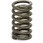 (90501)スプリング