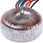 RS Pro トロイダルトランス，1次：115 V ac， 230 V ac，2次：2 x 18V ac，電力：15VA