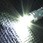 CREE T10 WH 2W