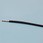 UL1007 AWG20