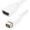 Mini DVI-HDMI変換アダプタ (Macbook/iMac対応) オス/メス ホワイト