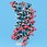 分子構造模型(モリモッド分子模型)DNA