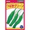 つばきグリーン(ししとう)