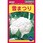 雪まつり(カリフラワー)