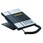 IP60 Telephone シルバー