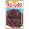 【タネ】 耐病 サニーレタス