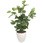 人工観葉植物 Lサイズ